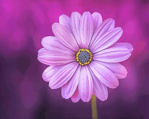 Purple Flower