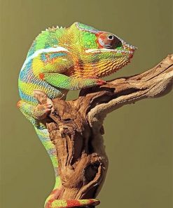 Green Chameleon paint by number