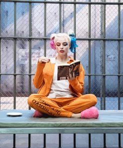 Harley Quinn Reading paint by number