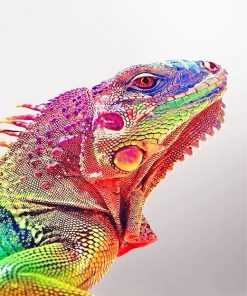 Rainbow Iguana paint by number