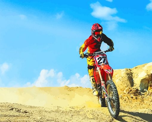 Red Dirt Bike Desert adult paint by numbers