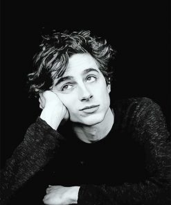 Timothée Black And White Portrait paint by number