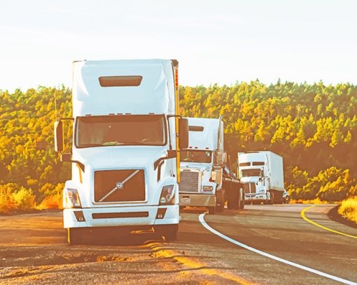 White Volvo Truck paint by number