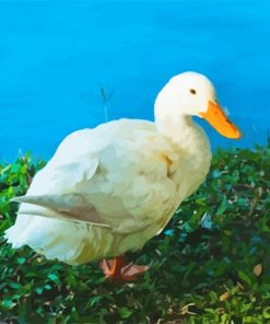 white duck adult paint by number