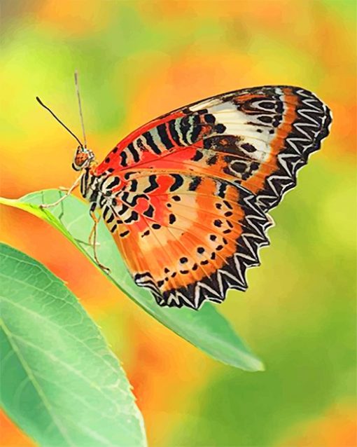 Beautiful Orange Butterfly Paint By Numbers