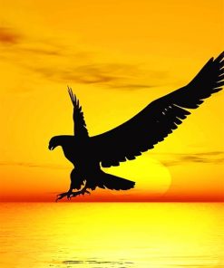 Eagle Silhouette Paint By Numbers