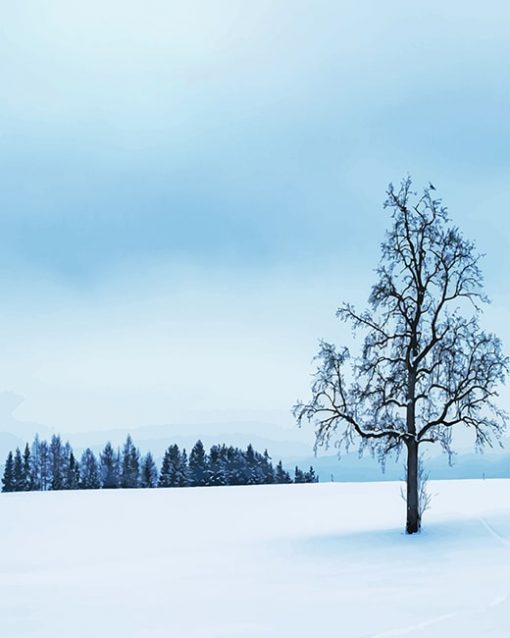 Tree Surrounded By Snow paint By Numbers