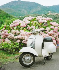 White Vespa Scooter Paint By Numbers