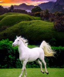 Beautiful White Horse paint by number