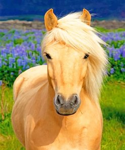 Blonde horse adult paint by numbers