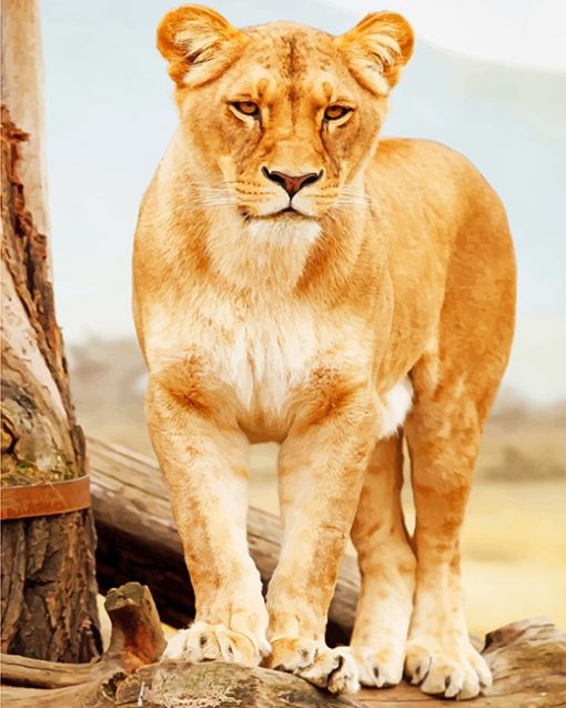 Brown lioness standing adult paint by numbers