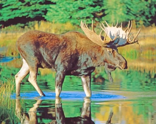 Bull Moose Water adult paint by numbers