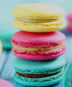 Colored Macarons adult paint by numbers