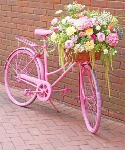 Cute Pinky Bike Paint By Numbers