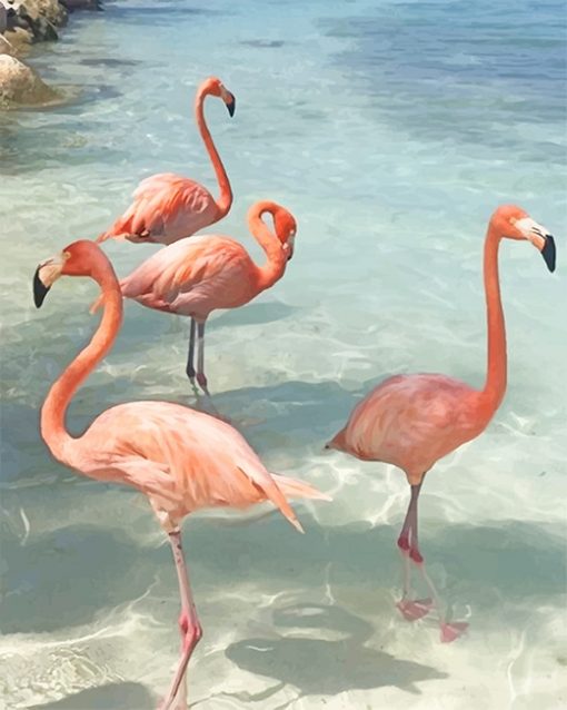 Flamingos birds adult paint by numbers