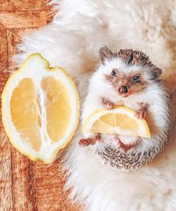 Hedgehog Lemon adult paint by numbers