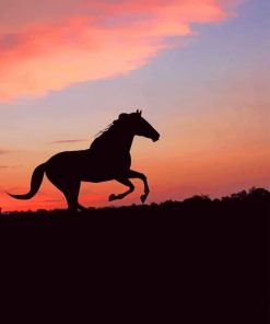 Horse Silhouette Sunset paint by numbers