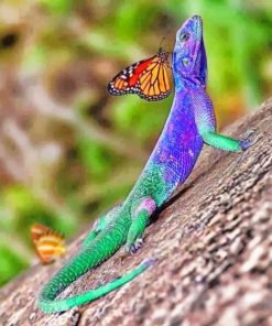 Lizard And Butterfly adult paint by numbers