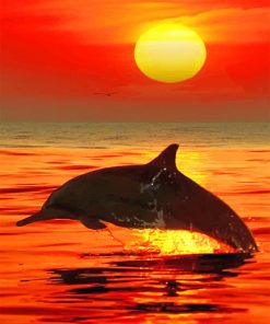 Lonely Dolphin Sunset adult paint by numbers