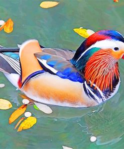 Mandarin Duck paint by number