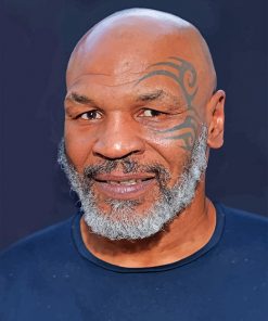 Mike Tyson paint by numbers