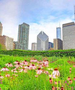 Millennium Park Chicago adult paint by numbers