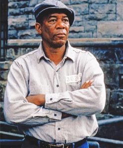 Morgan Freeman Shawshank Redemption adult paint by numbers