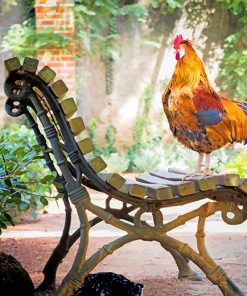 Orange Rooster on Brown Wooden Bench adult paint by numbers