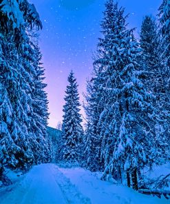 Photography Trees Covered With Snow adult paint by numbers