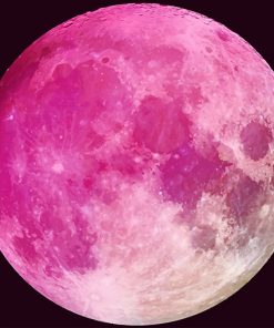 Pink Moon paint by number