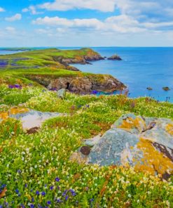 Saltee Island Great Ireland paint by number