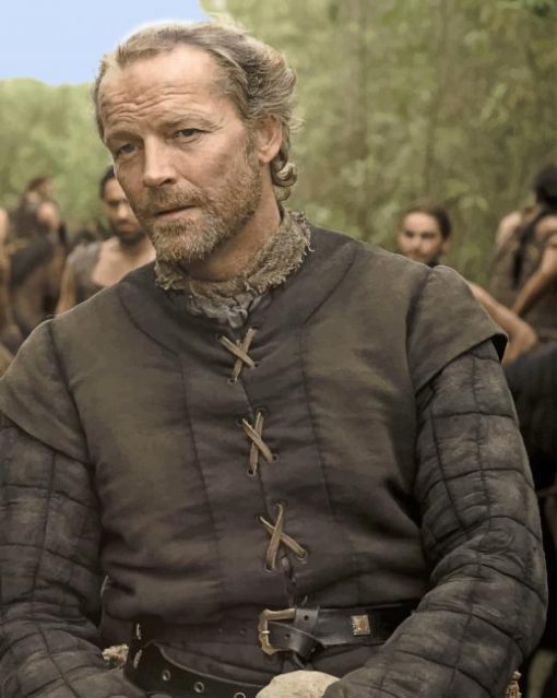 Ser Jorah GOT adult paint by numbers