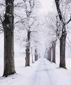 Snowy Pathway Surrounded By Trees paint by number