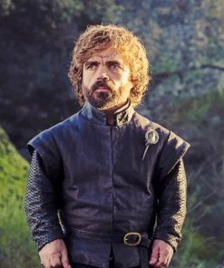 Tyrion Lannister GOT adult paint by numbers