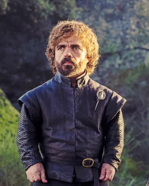 Tyrion Lannister GOT adult paint by numbers