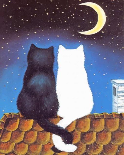 White And Black Cats Couple adult paint by numbers