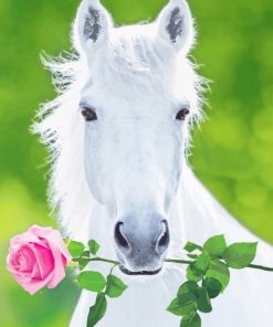 White Horse Holding Pink Rose paint by number