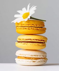 Yellow Macarons adult paint by numbers