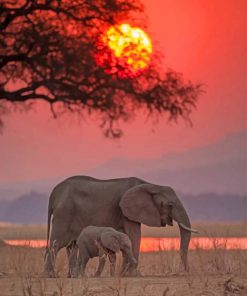 African Safari Elephant paint by number