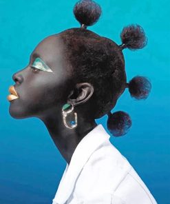 African Stylish Hair paint by number