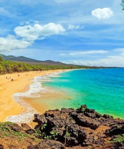 Amazing Beaches in Hawaii paint by numbers