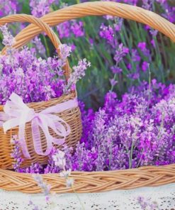 Basket Full Of Lavender Paint By Numbers