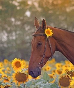 Beautiful Brown Horse paint by number