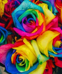 Beautiful Rainbow Flowers paint by number