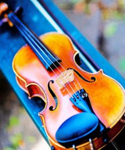 Beautiful Violin Photography paint by number