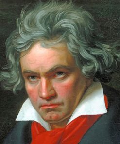 Beethoven Paint By Numbers