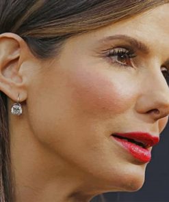 Best Actress Sandra Bullock paint by numbers