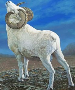 Big Horned Sheep paint by number