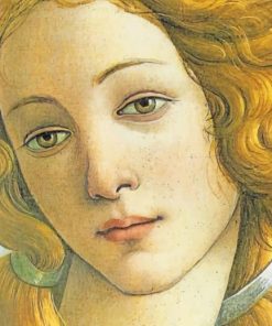 Birth Of Venus Botticelli Paint By Numbers