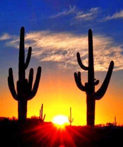 cactus sunrise adult paint by numbers